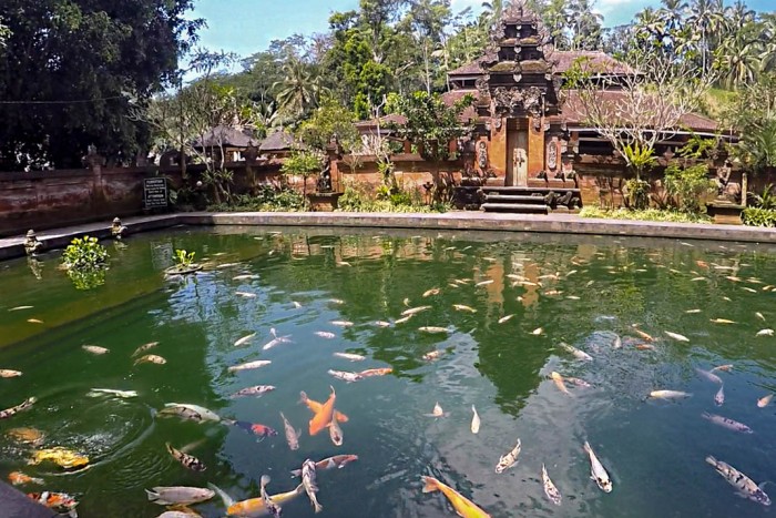 Tirta Empul Holy Water Temple Ubud Bali 2017